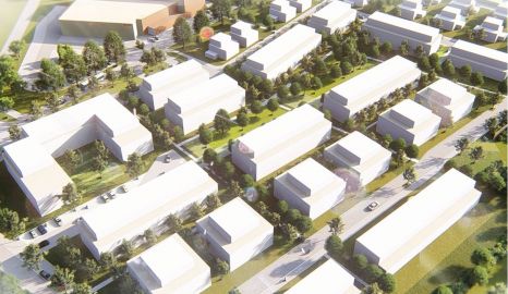 lange-seegewann-delkenheim-0